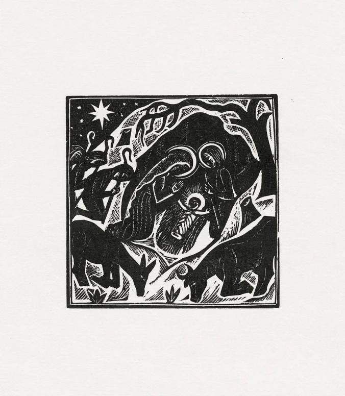 10623516_10203988114902385_8844332931311581880_o