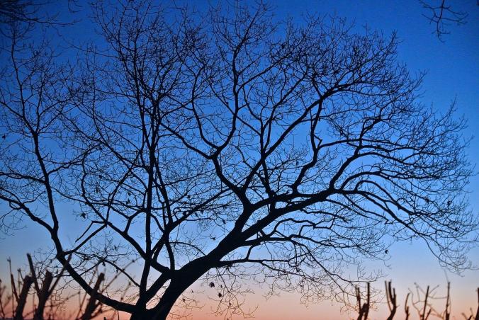 1898853_10202264743699182_8030453725769895124_o