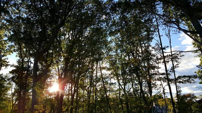 14495395_10205538612943867_8601368881200280826_n