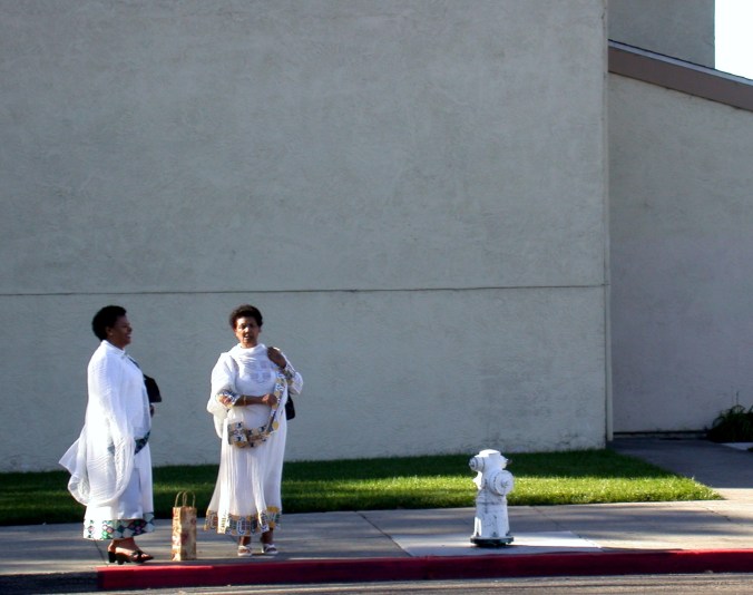 2311817195_de0a4a66c5_o