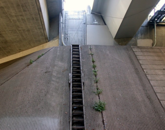 2311817499_48e1043d0b_o