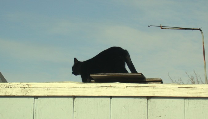 2312637944_eb9c1a6a00_o