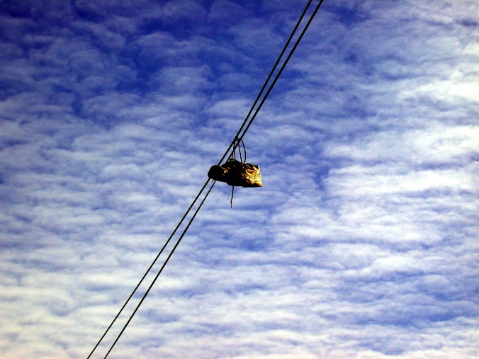 2312639218_8c4eb16b5b_o