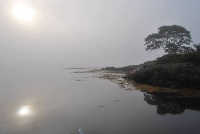 1276801_10201255640512233_1853793218136765051_o