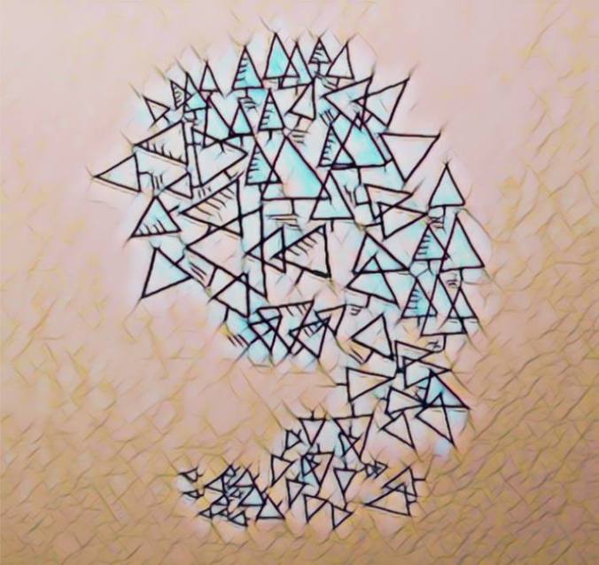 23658908_10208166606522064_8837321485293509490_n