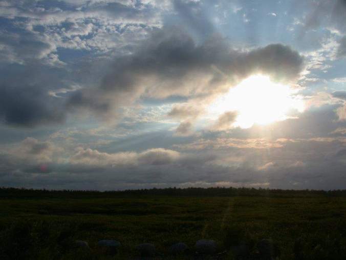 FB_IMG_1542132627410