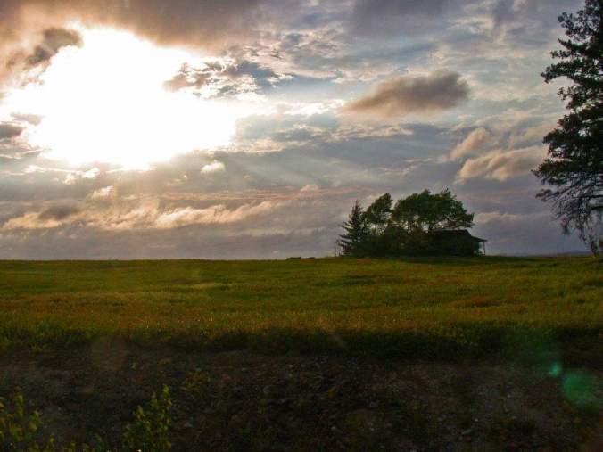 FB_IMG_1542132666111