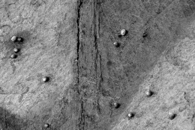 townlanding12.15.18.jpg-28