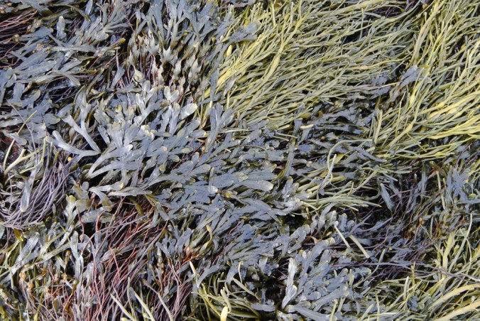 townlanding12.15.18.jpg-46