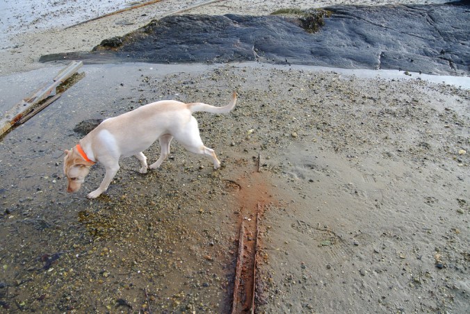 townlanding12.15.18.jpg-50