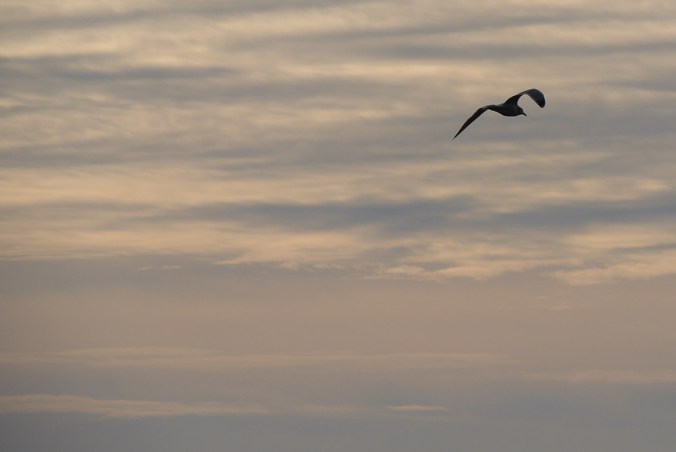 townlanding12.15.18.jpg-55