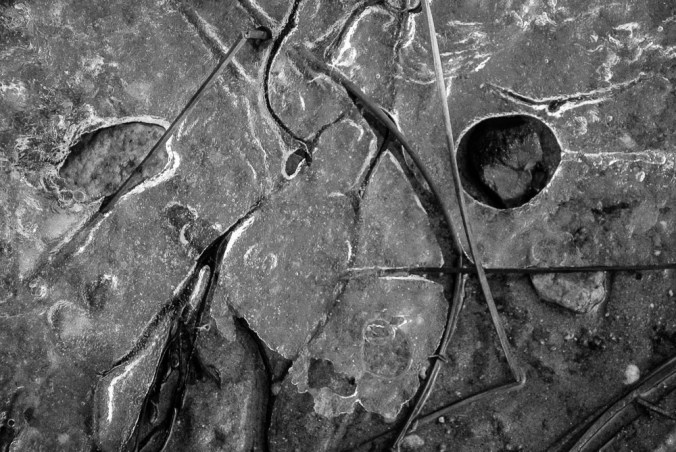 townlanding12.15.18.jpg-64