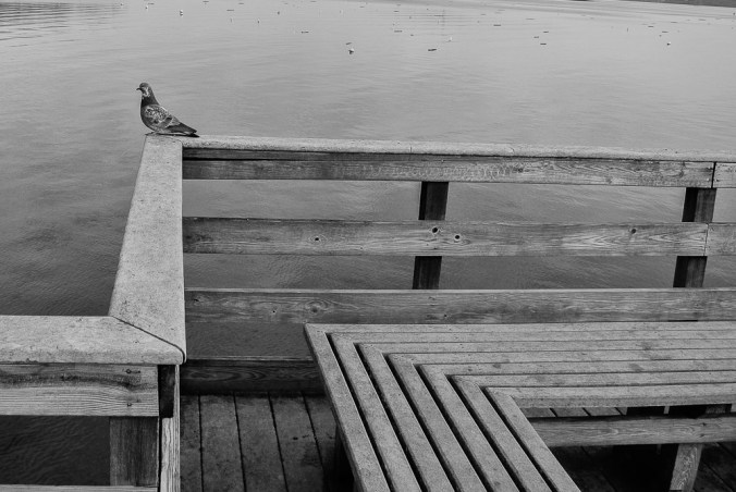 townlanding12.15.18.jpg-75