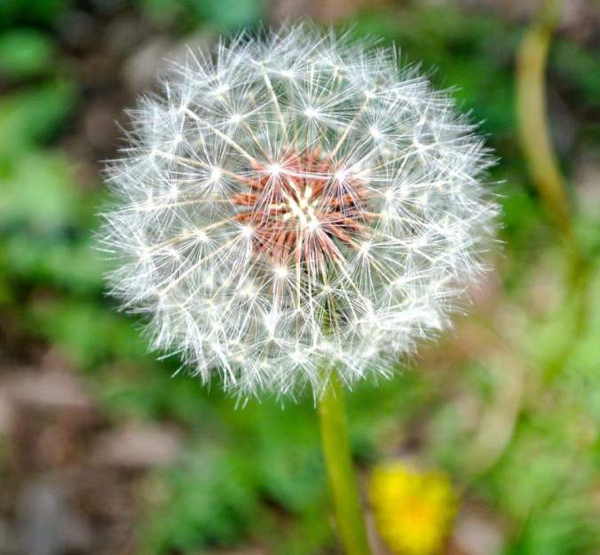 FB_IMG_1561072568129