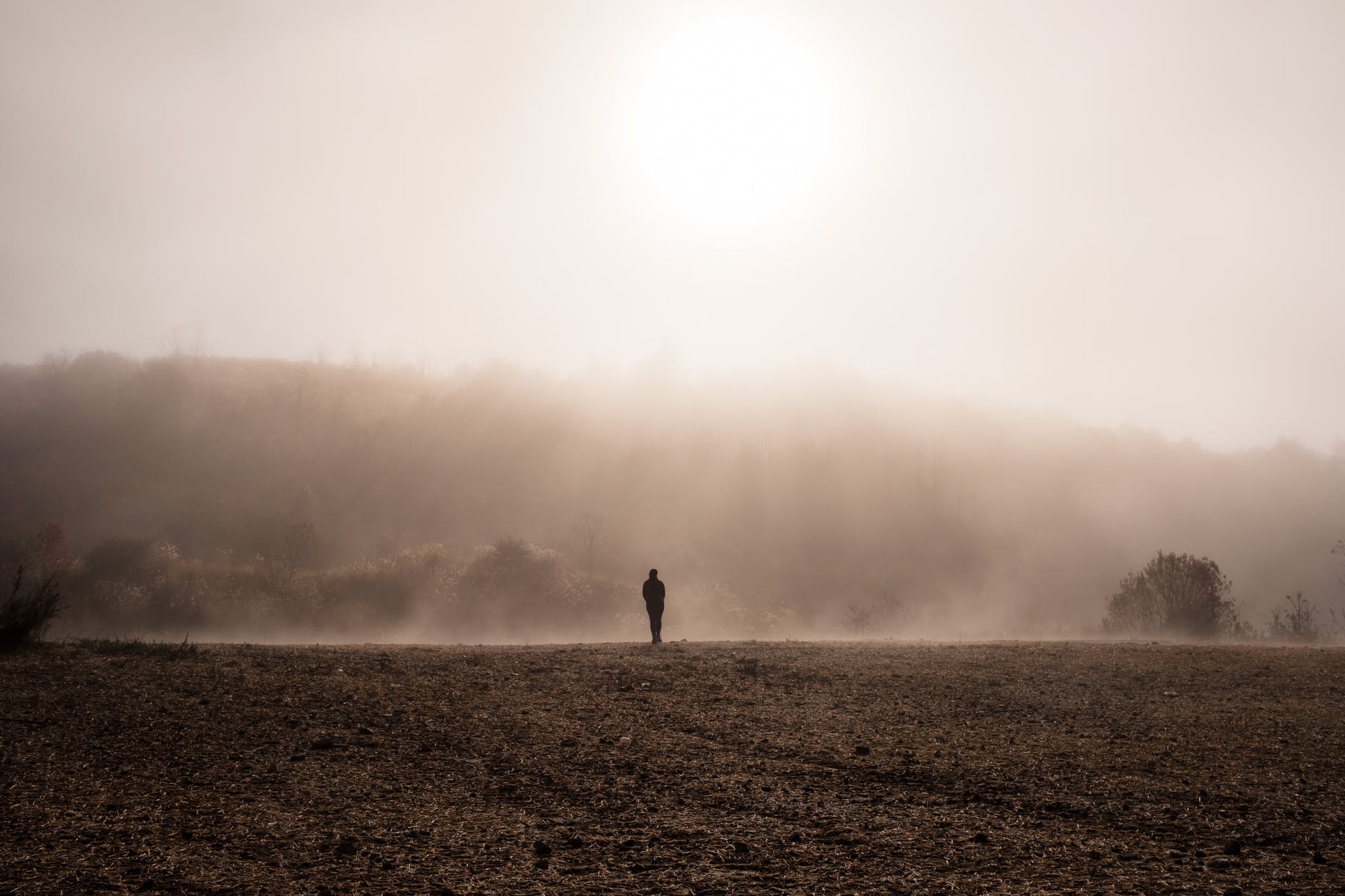 silhouette of person walking on brown field