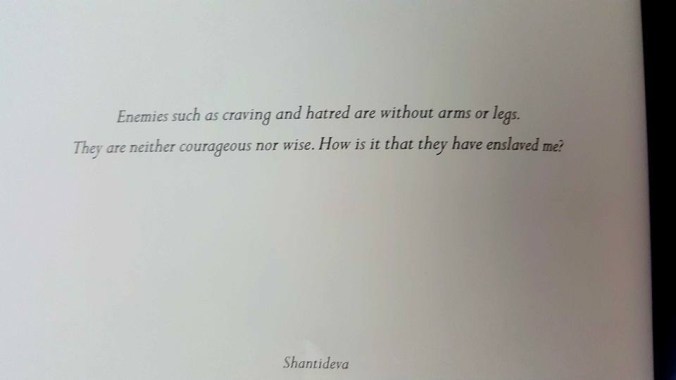13434700_10204961118266861_2044608315079700565_n (1)