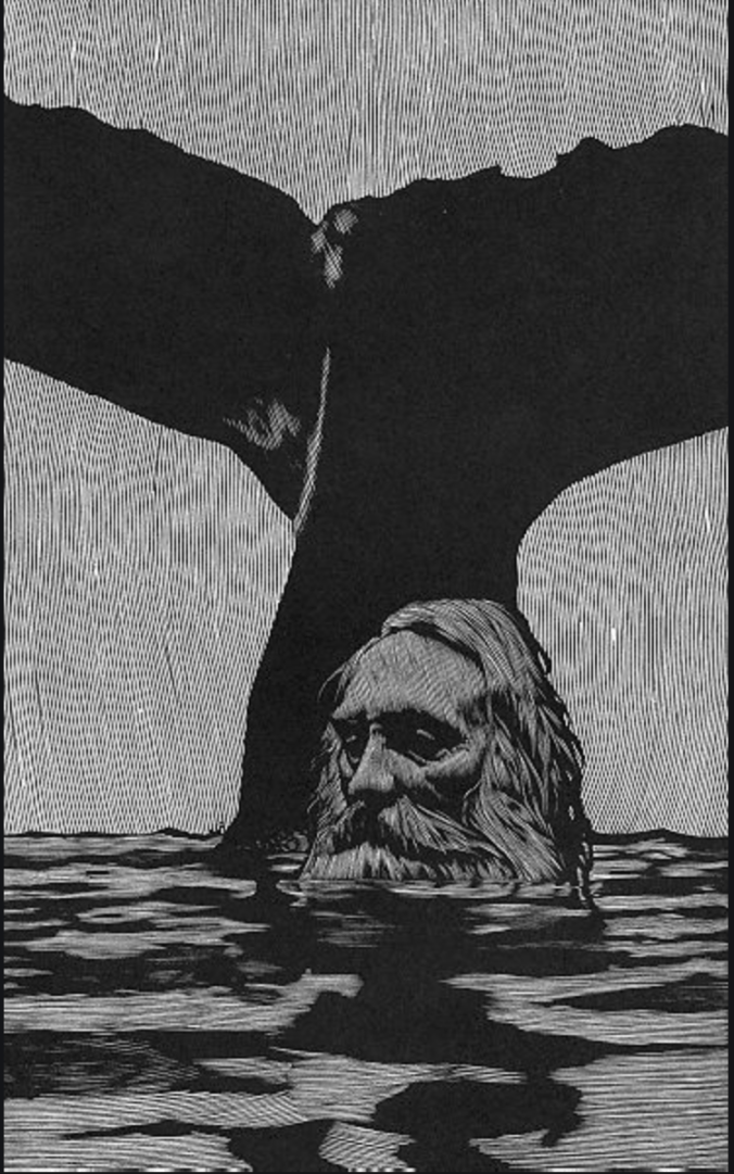 moby dick.png