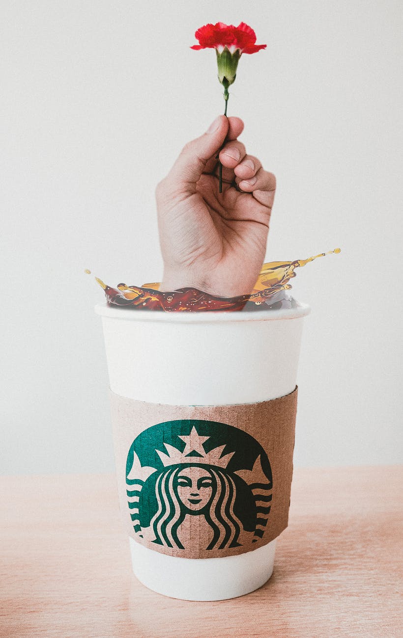 starbucks disposable cup